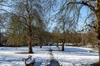 Kış sahnesinde karla kaplı ağaçlar ve arka planda bir park.