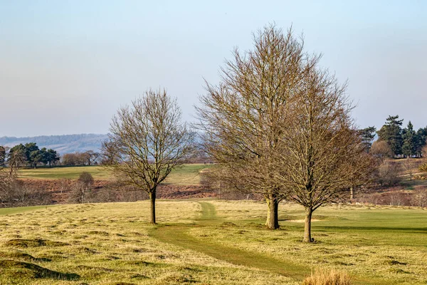 与英国乡村的风景 — 图库照片