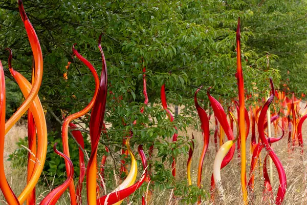 Llama Fuego Parque — Foto de Stock