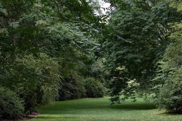 公園の緑の草や木畑の深さのメモ — ストック写真