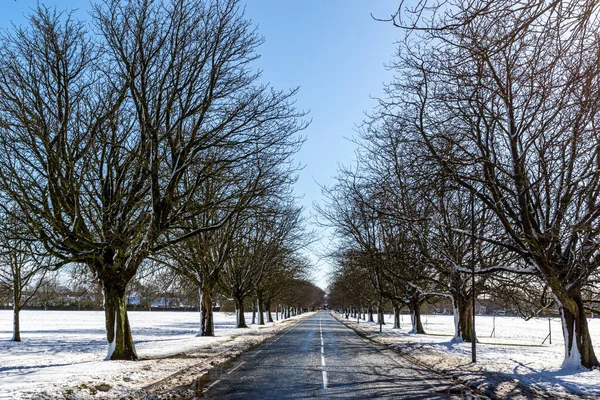 Χειμερινό Τοπίο Ενός Επαρχιακού Δρόμου — Φωτογραφία Αρχείου