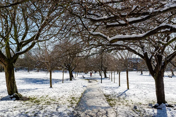 Χειμερινό Πάρκο Χιόνι Στο Λονδίνο Ηνωμένο Βασίλειο — Φωτογραφία Αρχείου