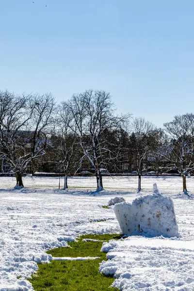 Χειμερινό Τοπίο Χιονισμένα Δέντρα Και Πολύ Πάγο — Φωτογραφία Αρχείου