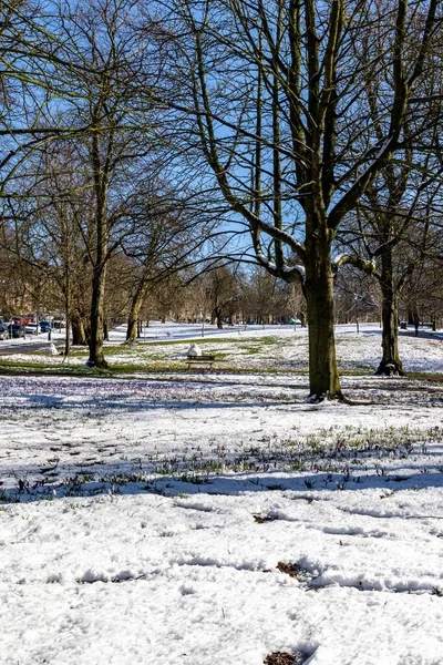 stock image winter park in the city of london