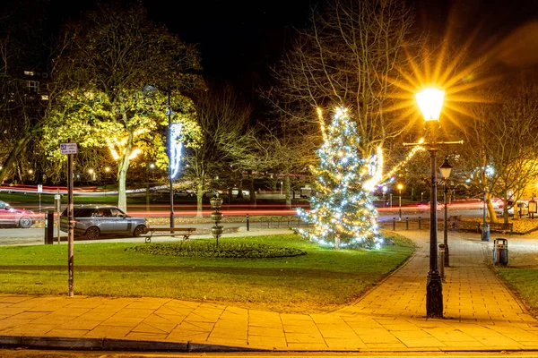 stock image christmas tree and lights