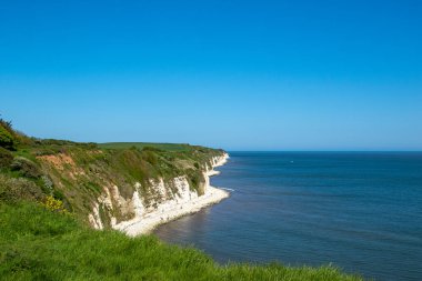 Deniz kıyısının güzel manzarası