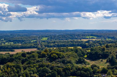 Ormandaki güzel yaz manzarası