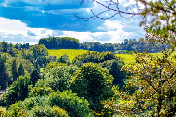 stock image beautiful landscape in the forest