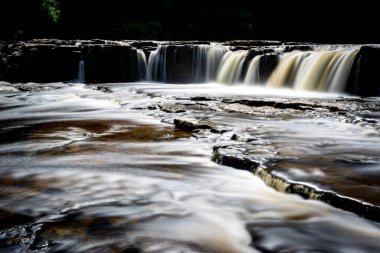 Ormanda güzel bir şelale