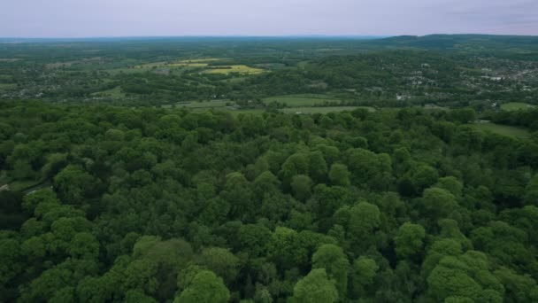 Letecký Pohled Zelený Les Krásnou Letní Krajinu Polsku — Stock video