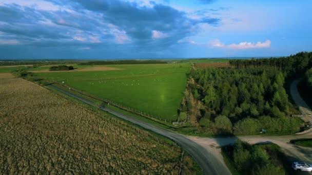 オランダのフィールドと森林を巡る空中ビュー — ストック動画