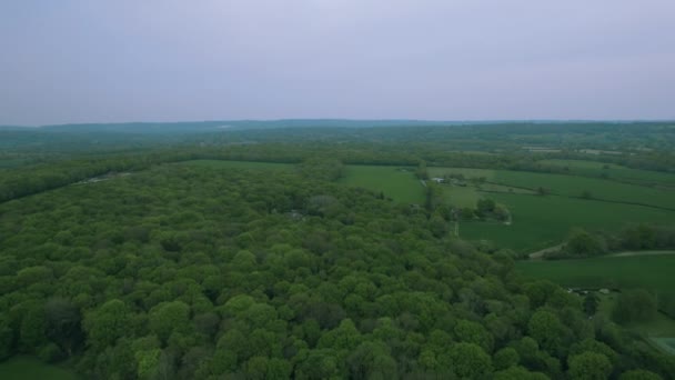 Letecký Pohled Zelená Pole Lese — Stock video