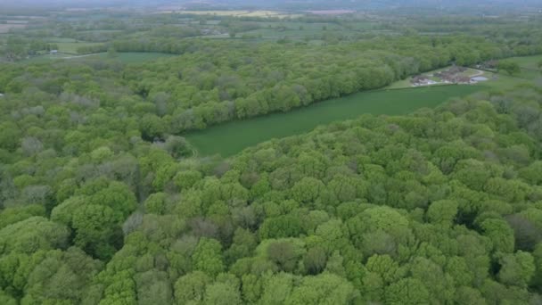 Letecký Pohled Zelená Pole Stromy — Stock video