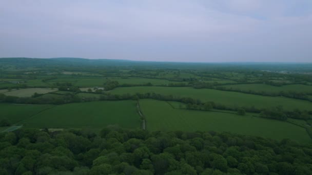 Letecký Pohled Zelené Zemědělské Pole — Stock video
