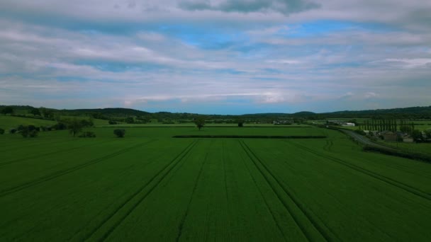 Krásný Letecký Pohled Pole Zelené Rýže Venkově — Stock video