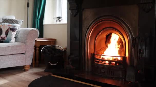 居間の暖炉 — ストック動画