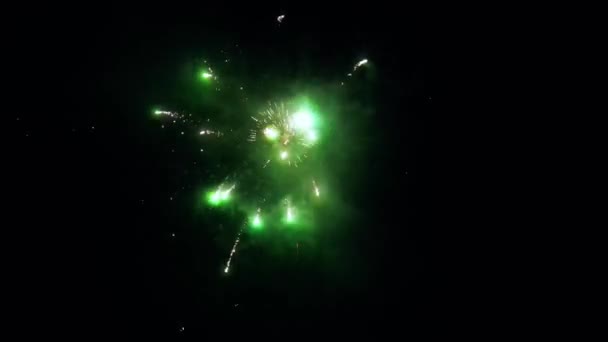Feuerwerk Der Nacht — Stockvideo