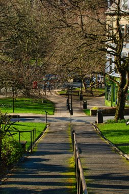 Ağaçların oluşturduğu güneşli park yolu gölgeler, yeşil çimenler ve banklar, Harrogate, İngiltere 'deki kentsel sükunet manzarası.