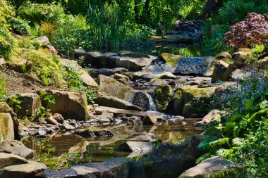 A serene garden scene featuring a small rocky stream surrounded by lush greenery and various plants.