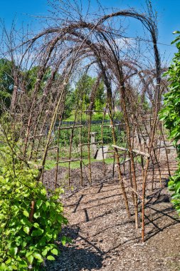 A garden structure made of intertwined branches forming an archway, with green plants and trees in the background under a clear blue sky.