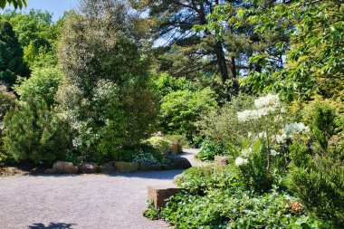 A serene garden pathway surrounded by lush greenery, trees, and blooming flowers on a sunny day.