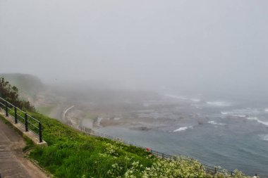 Çimenli bir uçurumun kenarında, kayalık bir kıyı şeridine ve okyanusa bakan bir patikası olan sisli bir sahil manzarası. Yoğun sis nedeniyle görüş mesafesi düşük.
