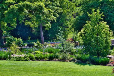 Çeşitli ağaçları, çalıları ve çiçek açan bitkileri olan yemyeşil bir bahçe. Bahçe manikürlü bir çimenlik ve canlı bir yaprakla iyi bakılmış. Güneş ışığı ağaçların arasından süzülüp sakin ve huzurlu bir atmosfer yaratır..