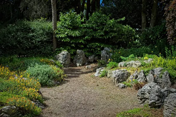 stock image A serene garden path surrounded by lush greenery, rocks, and flowering plants.