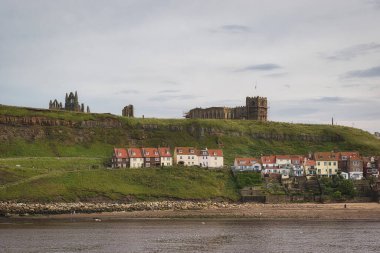 Whitby Manastırı 'nın manzarası ve denize bakan çimenli bir tepenin etrafındaki binalar..