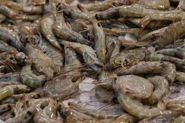 Buzdaki taze karideslerin yakın plan görüntüsü şeffaf kabuklarını ve uzun antenlerini sergiliyor. Karideslerin boyutları farklıdır ve doğal, piyasa tarzı bir şekilde düzenlenmişlerdir..