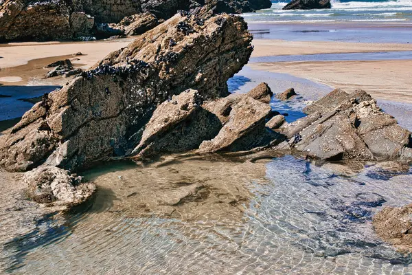Geniş, engebeli kayaların kısmen berrak suya battığı sakin bir sahil manzarası. Kumlu kıyı görünür, kenarlarında hafif dalgalar var. Güneş ışığı sudan yansıyarak sakin bir atmosfer yaratır..