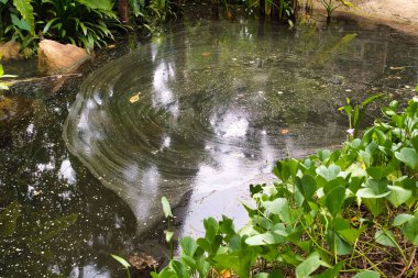 Yüzeyinde girdap desenleri olan, yemyeşil yapraklarla çevrili sakin bir gölet. Su, etrafındaki bitki ve ağaçları yansıtarak sakin bir doğal manzara yaratır..