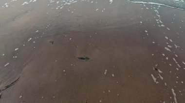 Wave 'lerin sahildeki yakın çekim videosu.