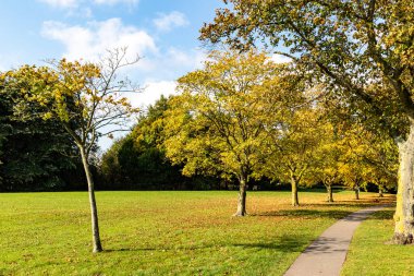 Sonbahar yaprakları sergilenen ağaçlarla kaplı bir patika içeren sakin bir park sahnesi. Çimler yeşildir ve düşen yapraklar yere saçılmıştır. Gökyüzü parçalı bulutlu, barışçıl bir atmosfer yaratıyor..