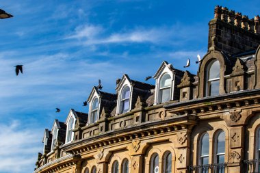 A historic building with ornate architecture, featuring multiple gabled windows and decorative stonework. Birds are seen flying around the rooftop under a clear blue sky with wispy clouds. clipart