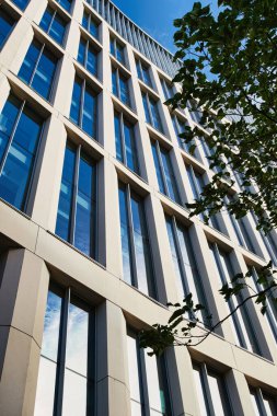 Manchester, İngiltere 'de çok sayıda pencere ve ağaç dalının yer aldığı, açık bej yüzlü, modern bir ofis binasının düşük açılı görüntüsü.