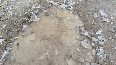 A muddy puddle with broken ice shards scattered around it on a dirt ground. The puddle reflects the blurry image of tree branches. The ground is composed of dark brown soil and small stones. clipart