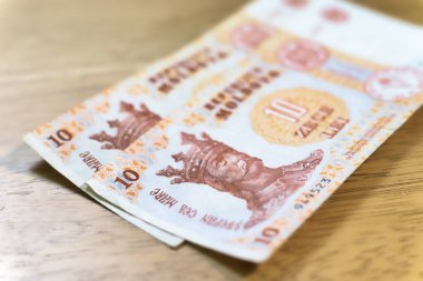 Açık kahverengi ahşap bir yüzey üzerinde uzanan iki Moldova 10 Lei banknotunun yakın çekimi. 
