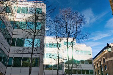 Ön planda çıplak yaprak döken ağaçlarla kaplı modern cam önlü binalar güneşli mavi gökyüzüne karşı. Güneş ışığı binanın pencerelerinden yansıyor. İngiltere 'nin başkenti Londra' da eski bir binanın bir kısmı görülebilir durumda..