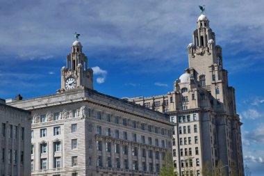 Mimari çekim süslemeleri, saat kulelerinin tepesinde heykeller olan aydınlık taş binalar, Liverpool, İngiltere 'de mavi, bulutlu bir gökyüzüne karşı kurulmuş..