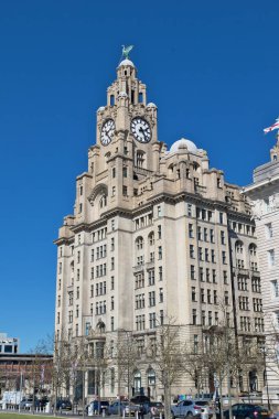 Karaciğer Binası ön planda açık mavi gökyüzü arkaplanıyla tasvir edilmiştir. İngiltere, Liverpool 'da arabalar ve ağaçlar en altta..