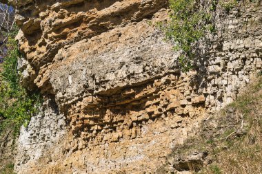 İngiltere 'deki Studley Royal Park' ta ve çevresinde yetişen bitki örtüsüyle griden kahverengiye renk olarak katmanlı kaya oluşumunun resmi..