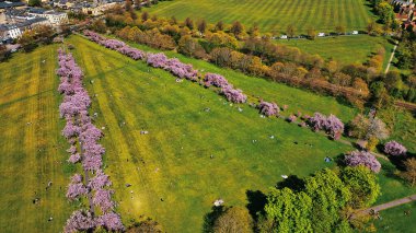 Çiçek açan ağaçlarla dolu bir parkın havadan görünüşü, insanların çimlerin üzerinde dinlenmesi, ve Harrogate, İngiltere 'deki binaların ve tarlaların çevrilmesi..