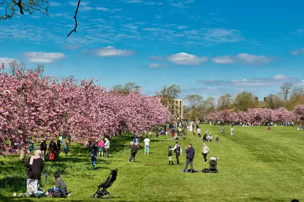 Harrogate, Yorkshire, İngiltere 'de bulutların dağıldığı açık mavi bir gökyüzüne karşı parkın güneşli bir gününün tadını çıkaran insanların canlı bir görüntüsü..