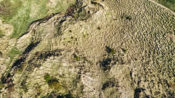 Küçük bir dere ve daha yeşil bitki örtüleri de dahil olmak üzere, Bamburgh plajında, parlak güneş ışığı altında, çeşitli arazilere sahip çimenli bir arazinin havadan görünüşü..