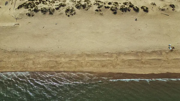 Kum tepecikli bir sahil manzarası, seyrek bitki örtüsü, birkaç insan ve İngiltere Sandhaven Sahili 'ndeki sahil boyunca dalgalar..