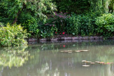 Sakin bir gölet, kıyı boyunca çeşitli bitkiler, çalılar ve ağaçlar da dahil olmak üzere yemyeşil bir havuzu yansıtır. Fransa 'nın Giverny şehrinde Lily pedleri suyun yüzeyinde yüzer..