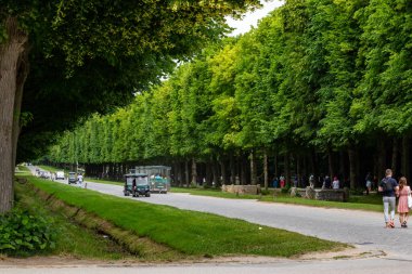 Ağaçlarla kaplı bir yol, insanların yürüdüğü ve golf arabalarının geçtiği bir yol. Versailles Gardens, Paris 'te yemyeşil bereketli bir yer..