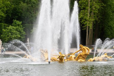Altın heykeller ve su fıskiyeleri, Paris 'teki Versailles Gardens' ta ağaçların ve heykellerin olduğu bir gölde sergilenen bir çeşme oluşturur..