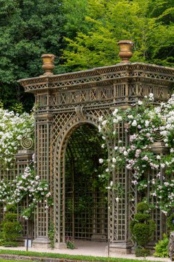 Güllerle kaplı bir bahçe kemeri, yemyeşil bir alanda bulunuyor. Kemer yolu Paris 'teki Versailles Gardens' ta karmaşık kafes işi yapıyor..
